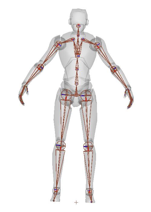 L08_HumanoidSkeleton